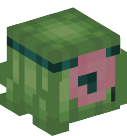 Minecraft head — People