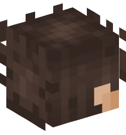 Minecraft head — People