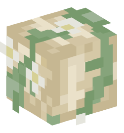 Minecraft head — Monsters