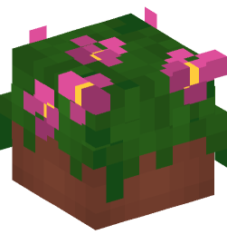 Minecraft head — Decor