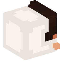 Minecraft head — Decor