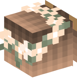 Minecraft head — People