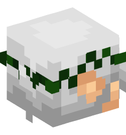 Minecraft head — Creatures