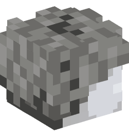 Minecraft head — Decor