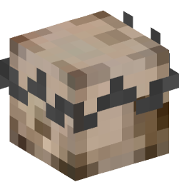 Minecraft head — Decor