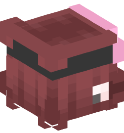 Minecraft head — People