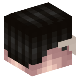 Minecraft head — People