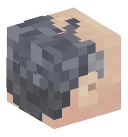 Minecraft head — People