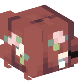 Minecraft head — People