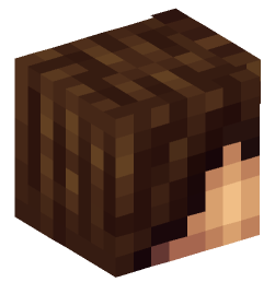 Minecraft head — People