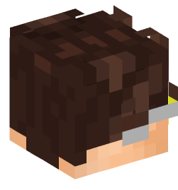 Minecraft head — People