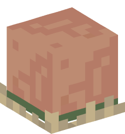 Minecraft head — Creatures