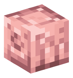 Minecraft head — Blocks