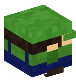 Minecraft head — Decor