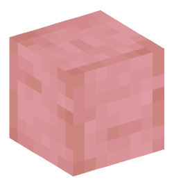 Minecraft head — Blocks