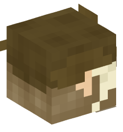 Minecraft head — People