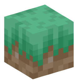 Minecraft head — Blocks