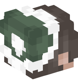 Minecraft head — People