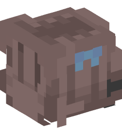 Minecraft head — People