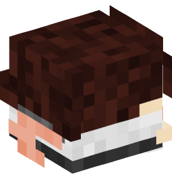 Minecraft head — Decor