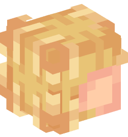 Minecraft head — People