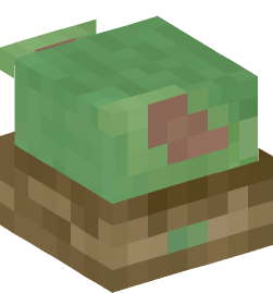 Minecraft head — Decor