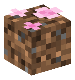 Minecraft head — Plants