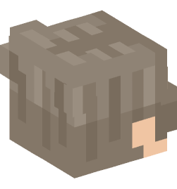 Minecraft head — People