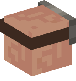 Minecraft head — Creatures