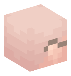 Minecraft head — People