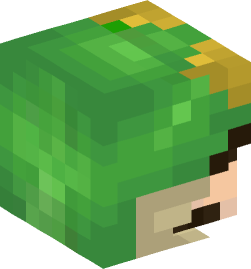 Minecraft head — People