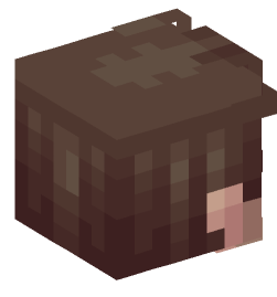 Minecraft head — People