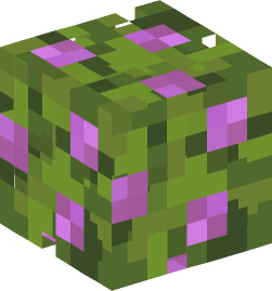 Minecraft head — Plants