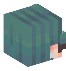 Minecraft head — People