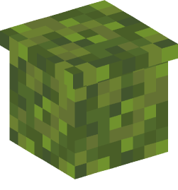 Minecraft head — Plants