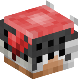 Minecraft head — People