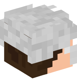 Minecraft head — People