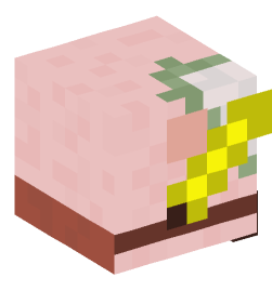 Minecraft head — Decor