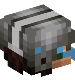 Minecraft head — People