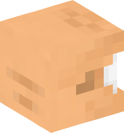 Minecraft head — Creatures