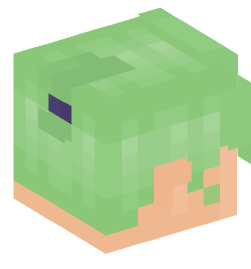 Minecraft head — People