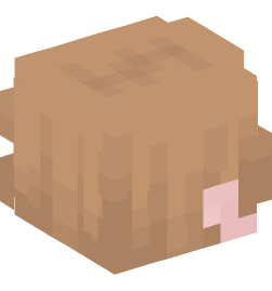 Minecraft head — People