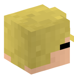 Minecraft head — People