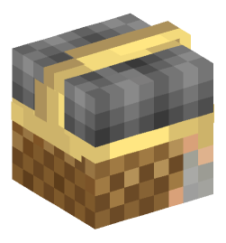 Minecraft head — People