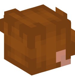 Minecraft head — People