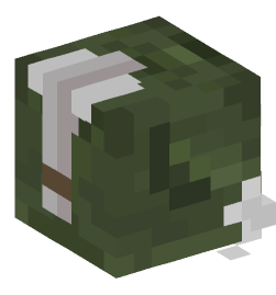 Minecraft head — Creatures