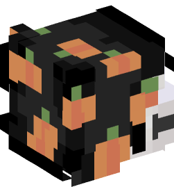 Minecraft head — People