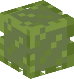 Minecraft head — Blocks