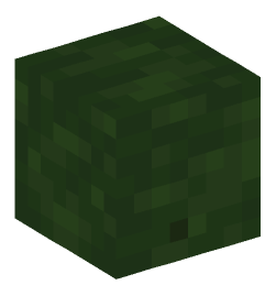 Minecraft head — Monsters