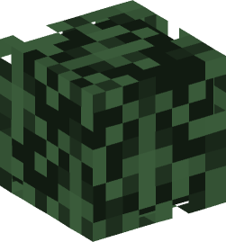 Minecraft head — Plants